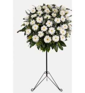 ferforje beyaz gerbera
